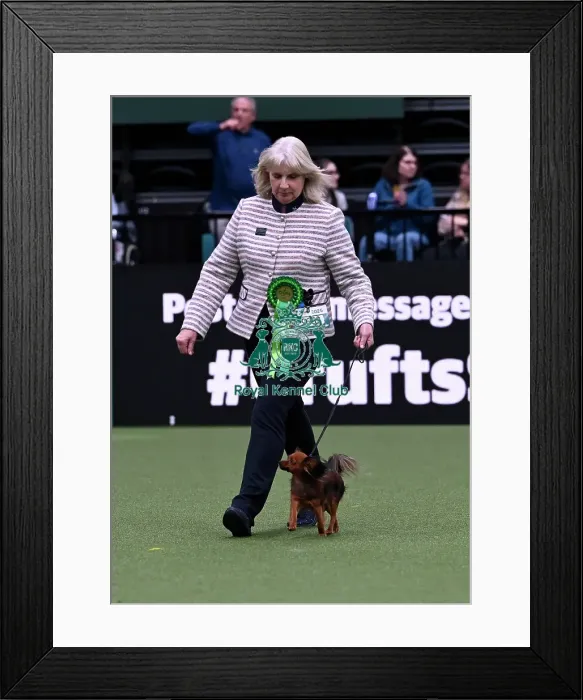 Framed Print : Karen Leach from Shotleybridge with Zip