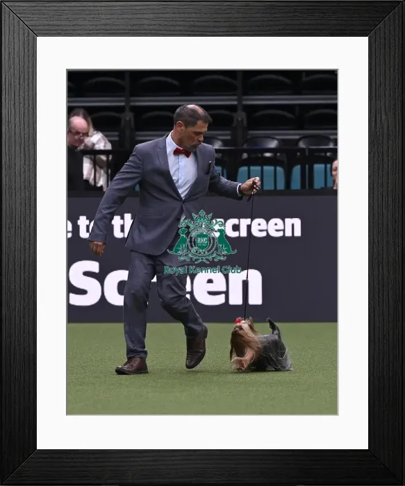 Framed Print : Sergio Amien from Segovia, Spain with Jenny Framed Print : Sergio Amien from Segovia, Spain with Jenny