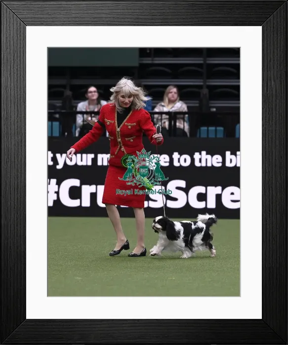 Framed Print : Caroline Bowles-Robinson from Loughborough with Schmichael