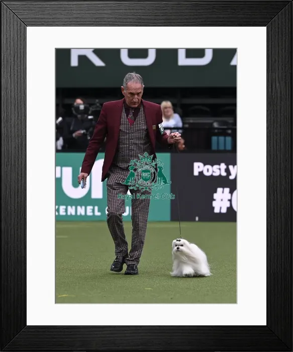 Framed Print : Paolandoni Stefanos from Roma, Italy with Oliver Framed Print : Paolandoni Stefanos from Roma, Italy with Oliver
