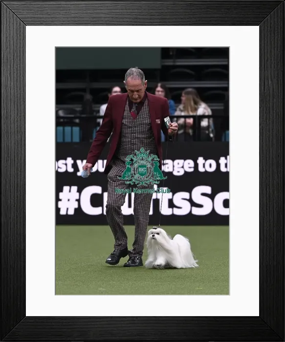 Framed Print : Paolandoni Stefanos from Roma, Italy with Oliver Framed Print : Paolandoni Stefanos from Roma, Italy with Oliver