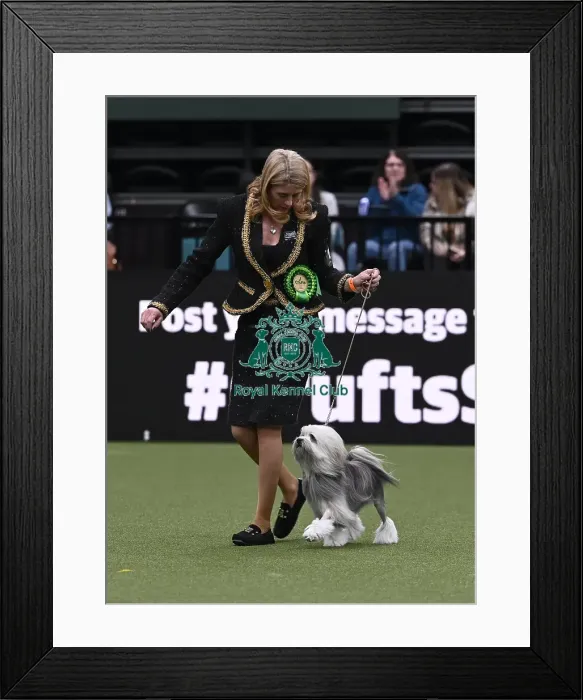 Framed Print : Katrina Kenyon from Great Altcar with Cole Framed Print : Katrina Kenyon from Great Altcar with Cole