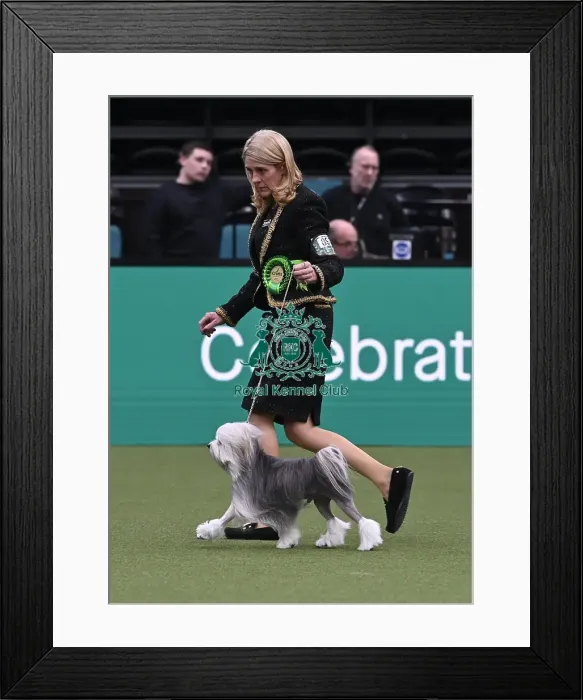 Framed Print : Katrina Kenyon from Great Altcar with Cole Framed Print : Katrina Kenyon from Great Altcar with Cole
