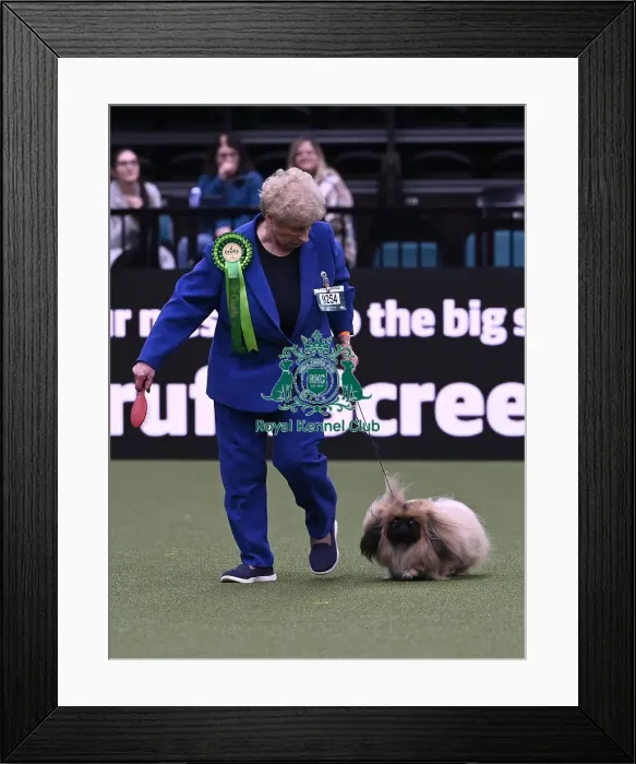 Framed Print : Winnie Mee from Forest of Dean with Mickey Framed Print : Winnie Mee from Forest of Dean with Mickey