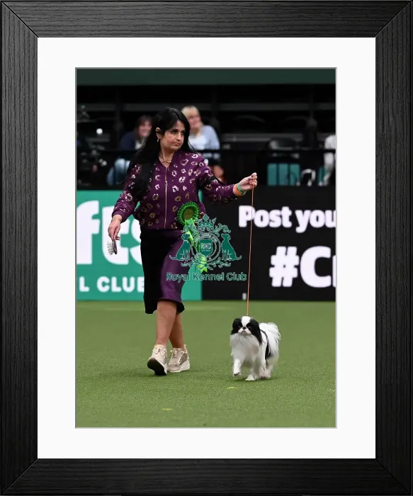 Framed Print : Linda Mills from Cork, Ireland with Blaze Framed Print : Linda Mills from Cork, Ireland with Blaze