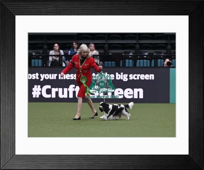 Framed Print : Caroline Bowles-Robinson from Loughborough with Schmichael