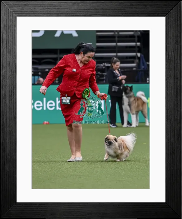 Framed Print : Sharon O'Brien from Ireland with Oslo Framed Print : Sharon O'Brien from Ireland with Oslo