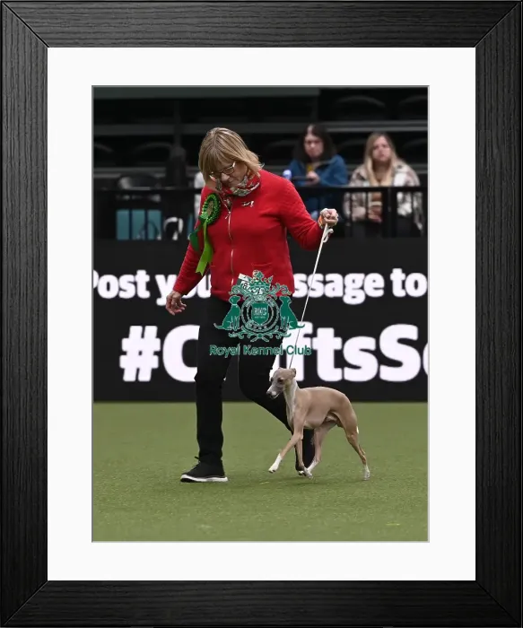 Framed Print : Liz Winstone from Golborne, Warrington with Roman