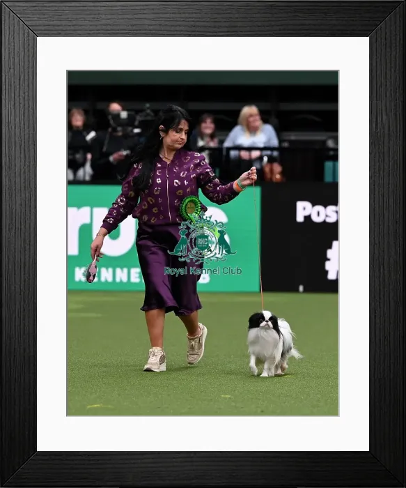 Framed Print : Linda Mills from Cork, Ireland with Blaze Framed Print : Linda Mills from Cork, Ireland with Blaze