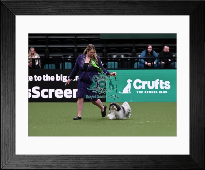 Framed Print : Karyna Cazelis from Montreal, Canada
