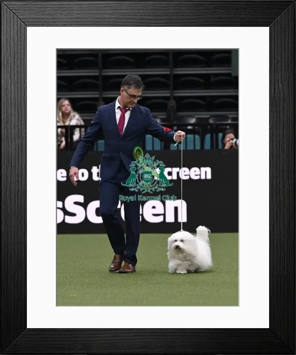 Framed Print : Kevin Holley from Immingham with Belle Framed Print : Kevin Holley from Immingham with Belle