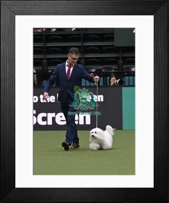 Framed Print : Kevin Holley from Immingham with Belle Framed Print : Kevin Holley from Immingham with Belle