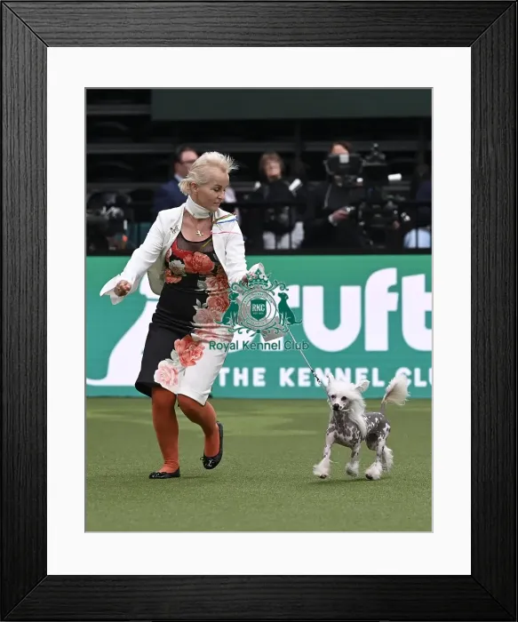 Framed Print : Lena Sajla from Hanover, Germany with Osirus Framed Print : Lena Sajla from Hanover, Germany with Osirus