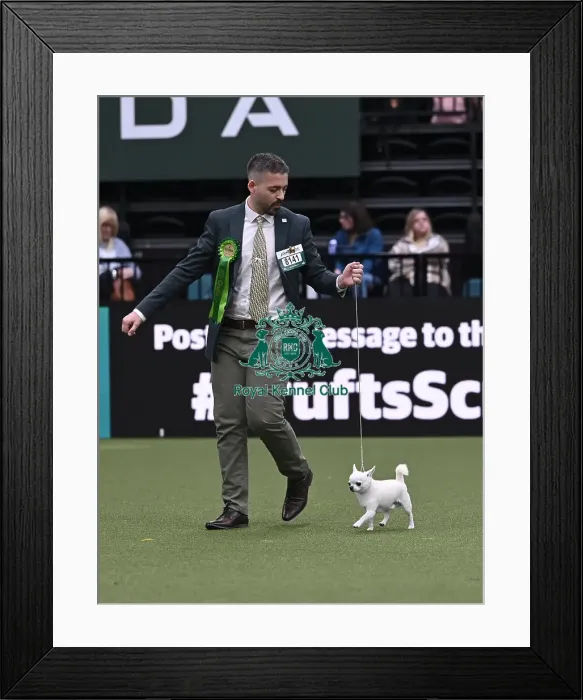 Framed Print : Joe Borjes from Martigny, Switzerland with Candy Framed Print : Joe Borjes from Martigny, Switzerland with Candy