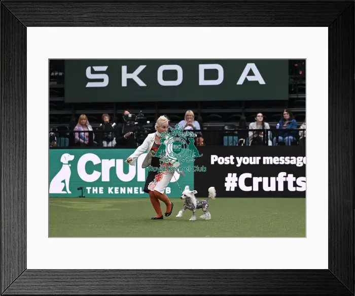 Framed Print : Lena Sajla from Hanover, Germany with Osirus Framed Print : Lena Sajla from Hanover, Germany with Osirus