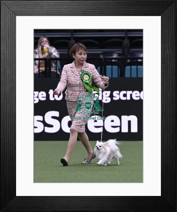 Framed Print : Chizuru Kadowaki from Gothenburg with Million Framed Print : Chizuru Kadowaki from Gothenburg with Million