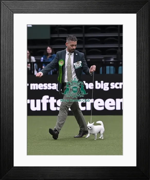 Framed Print : Joe Borjes from Martigny, Switzerland with Candy Framed Print : Joe Borjes from Martigny, Switzerland with Candy