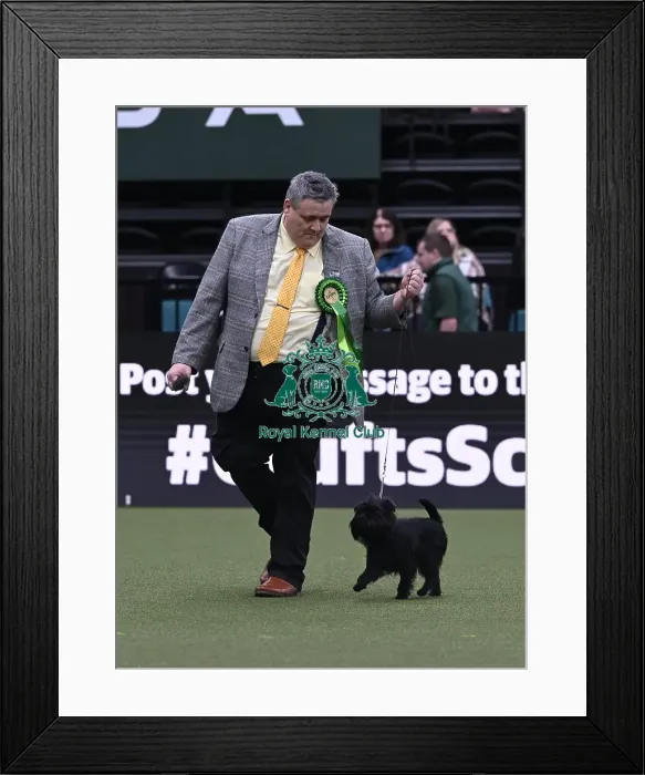 Framed Print : Andrew Stewart from Paisley with Harold Framed Print : Andrew Stewart from Paisley with Harold