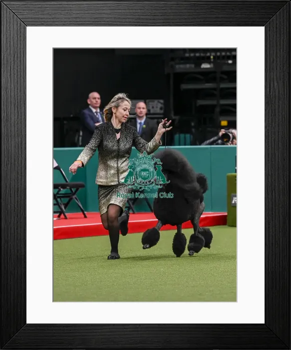 Framed Print : Sonia Merati from Milan, Italy with Drago