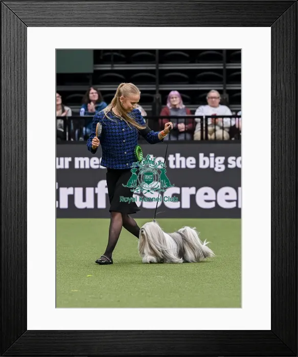 Framed Print : Naja Soegaard from Aarhus, Denmark with Roxy