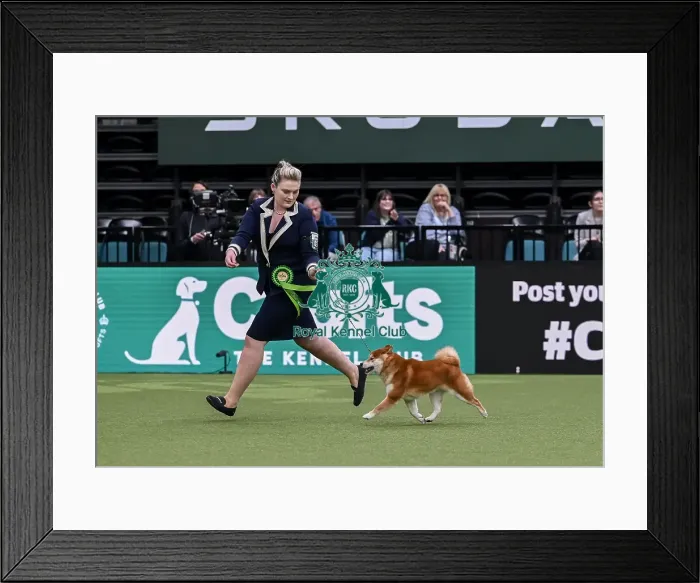 Framed Print : Michaella Dunhill-Hall from Clumberpark with Yang Framed Print : Michaella Dunhill-Hall from Clumberpark with Yang