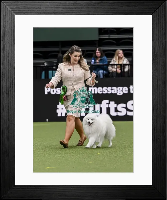 Framed Print : Lyndsey Jones from Flintshire with Ozzy Framed Print : Lyndsey Jones from Flintshire with Ozzy