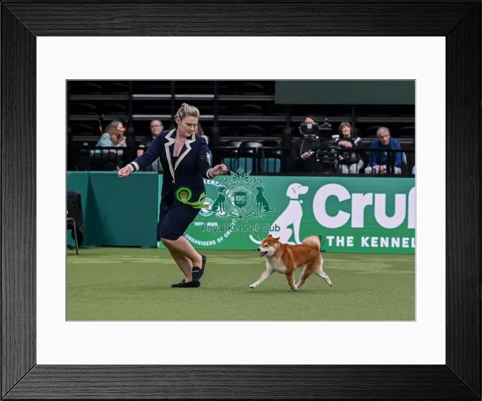 Framed Print : Michaella Dunhill-Hall from Clumberpark with Yang