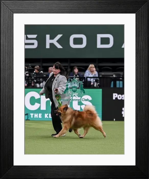 Framed Print : Stacey Watkins from Norfolk with Blue