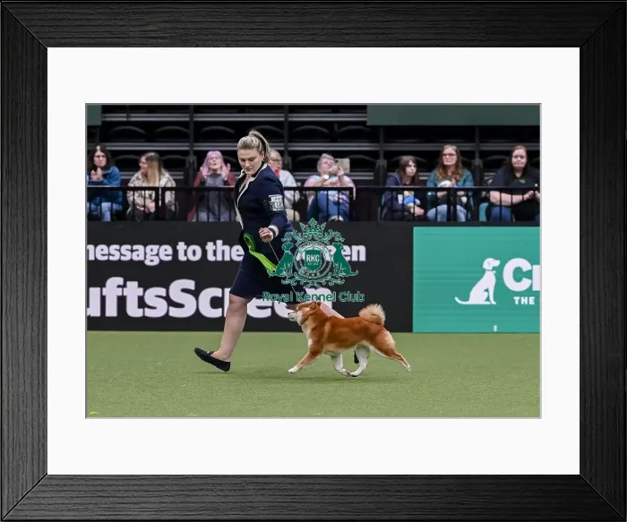 Framed Print : Michaella Dunhill-Hall from Clumberpark with Yang Framed Print : Michaella Dunhill-Hall from Clumberpark with Yang