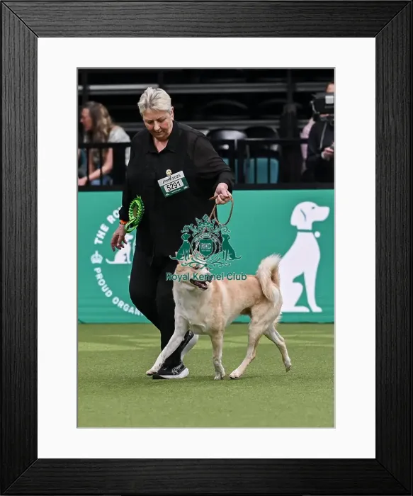 Framed Print : Alison Byrne from Folkestone with Bones Framed Print : Alison Byrne from Folkestone with Bones