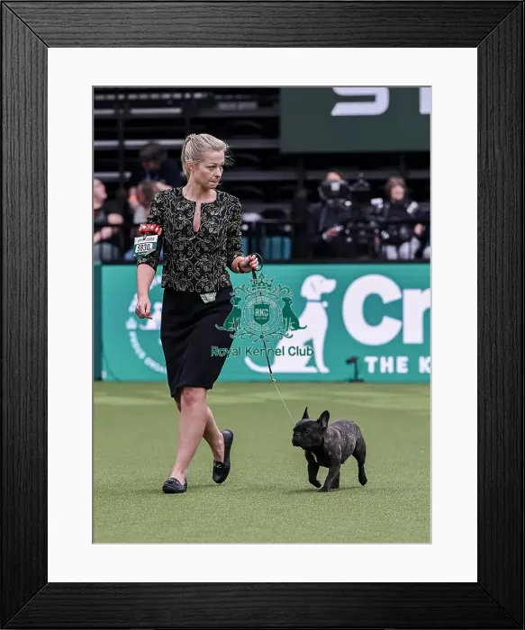 Framed Print : Olivia Timms from Thorney with Sushi Framed Print : Olivia Timms from Thorney with Sushi