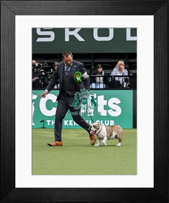Framed Print : Stu Lowthian from Staffordshire with Charlie Framed Print : Stu Lowthian from Staffordshire with Charlie