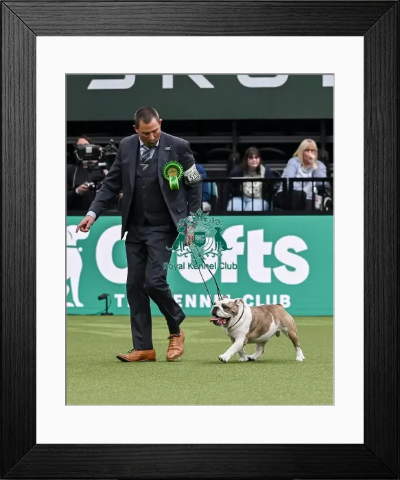 Framed Print : Stu Lowthian from Staffordshire with Charlie Framed Print : Stu Lowthian from Staffordshire with Charlie