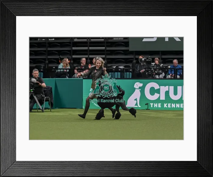 Framed Print : Sonia Merati from Milan, Italy with Drago Framed Print : Sonia Merati from Milan, Italy with Drago