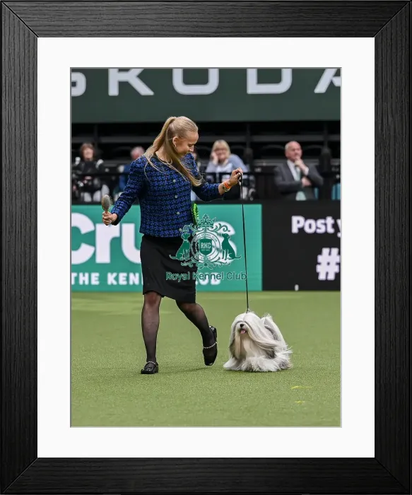 Framed Print : Naja Soegaard from Aarhus, Denmark with Roxy Framed Print : Naja Soegaard from Aarhus, Denmark with Roxy