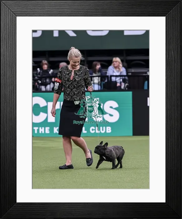 Framed Print : Olivia Timms from Thorney with Sushi