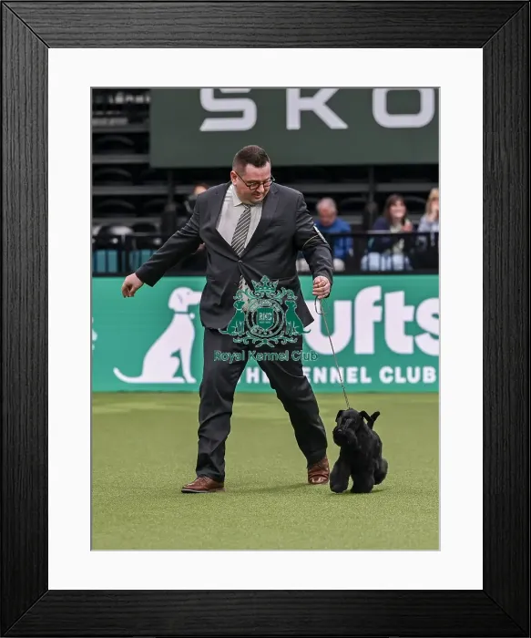 Framed Print : Ante Lucin from Split, Croatia with Liza Framed Print : Ante Lucin from Split, Croatia with Liza