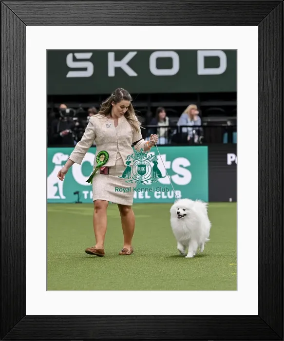 Framed Print : Lyndsey Jones from Flintshire with Ozzy Framed Print : Lyndsey Jones from Flintshire with Ozzy