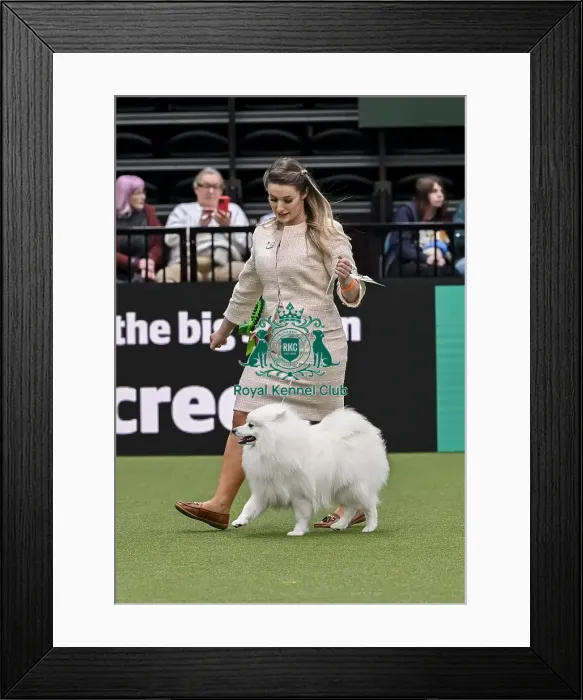 Framed Print : Lyndsey Jones from Flintshire with Ozzy Framed Print : Lyndsey Jones from Flintshire with Ozzy