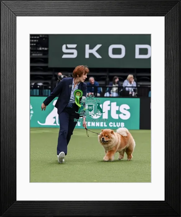 Framed Print : Rosemary Kurz from Germany with Ivy