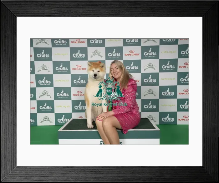 Framed Print : Nicola Duffield from Hodnet Shropshire with Hiro Framed Print : Nicola Duffield from Hodnet Shropshire with Hiro