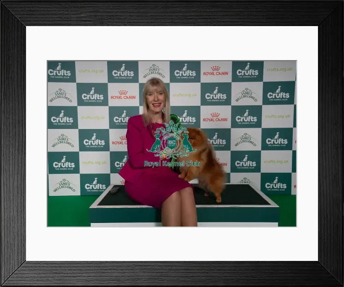 Framed Print : Avril Canthera-Purdy from Cheltenham with Garfield a Pomeranian Framed Print : Avril Canthera-Purdy from Cheltenham with Garfield a Pomeranian