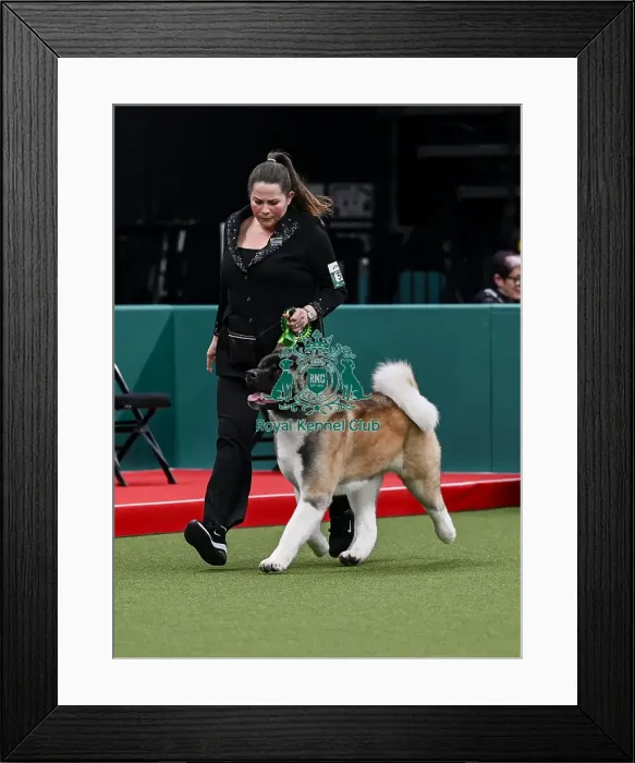 Framed Print : Nicci Willy from Spalding with Kimbo
