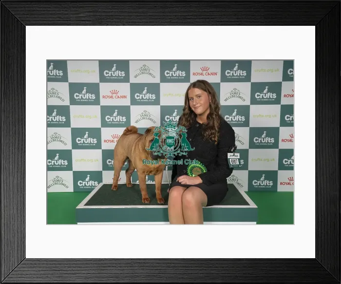 Framed Print : Amy Bragg from Plymouth with Dottie a Shar Pei