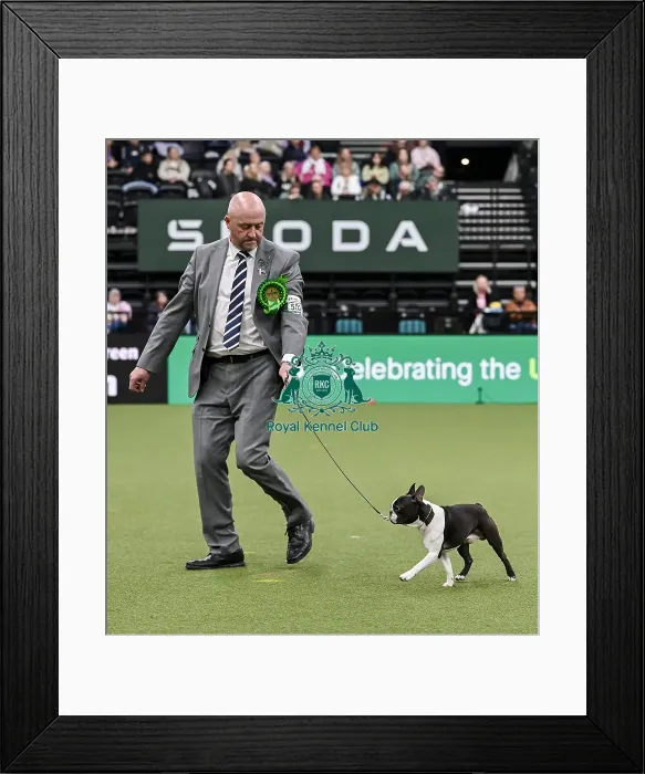 Framed Print : Dave Bennett from Liverpool with Ted Framed Print : Dave Bennett from Liverpool with Ted