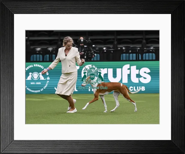 Framed Print : Cat Opson, from the USA, with Eden Framed Print : Cat Opson, from the USA, with Eden