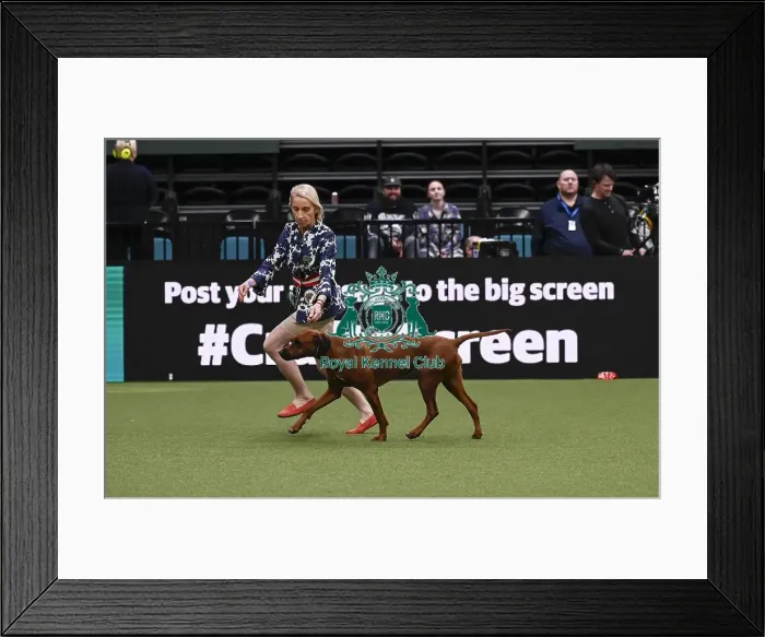 Framed Print : Christine Blumber and Stefani Westphal Framed Print : Christine Blumber and Stefani Westphal