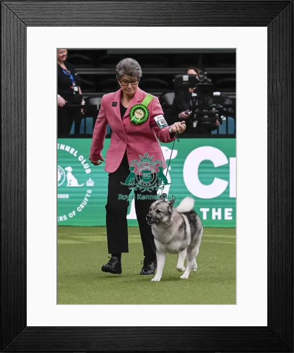 Framed Print : Sally Simmonds, from Welshpool Framed Print : Sally Simmonds, from Welshpool