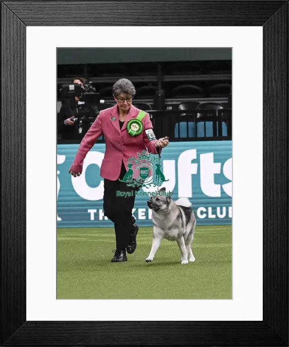 Framed Print : Sally Simmonds, from Welshpool Framed Print : Sally Simmonds, from Welshpool