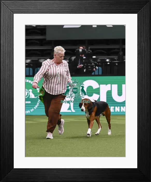 Framed Print : Susan Bryan, from Cumbria, with Lincoln Framed Print : Susan Bryan, from Cumbria, with Lincoln